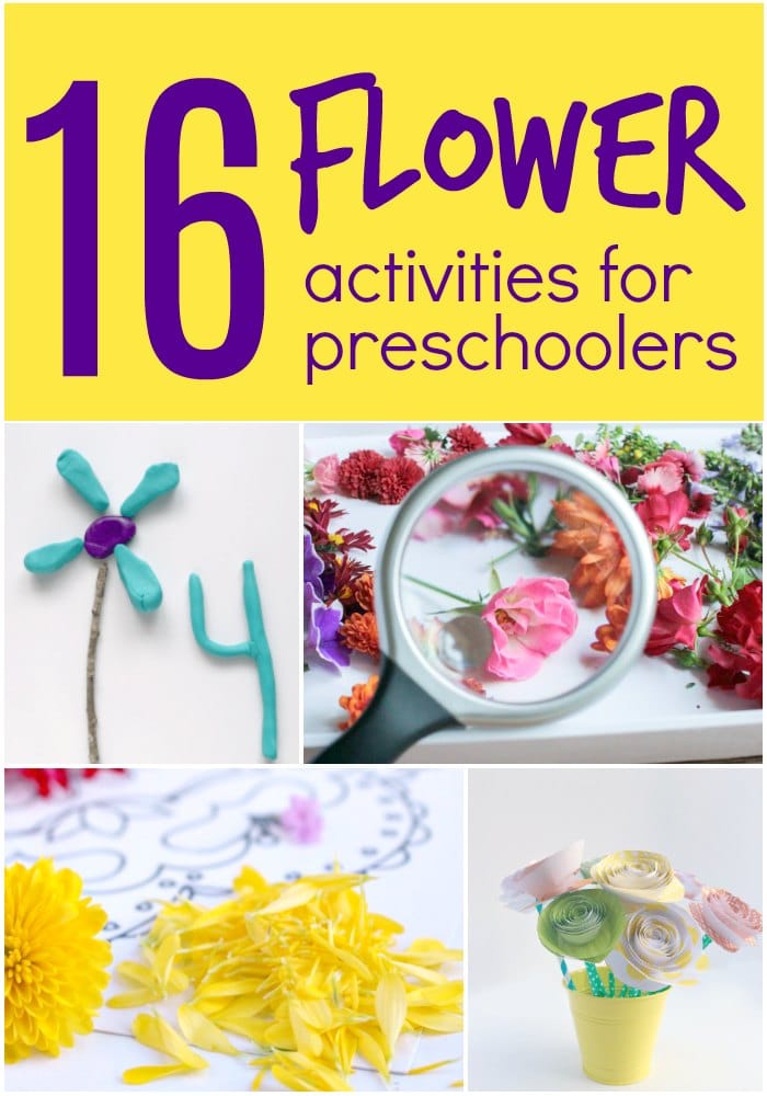 Flower Activities for Preschoolers