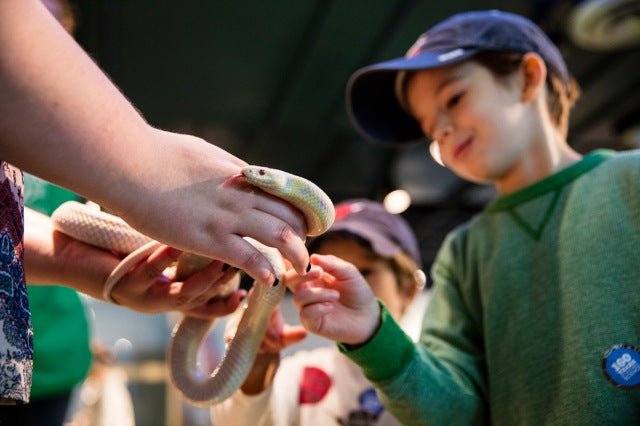 Register Now! 15 Summer Day Camps That Fill Up Fast