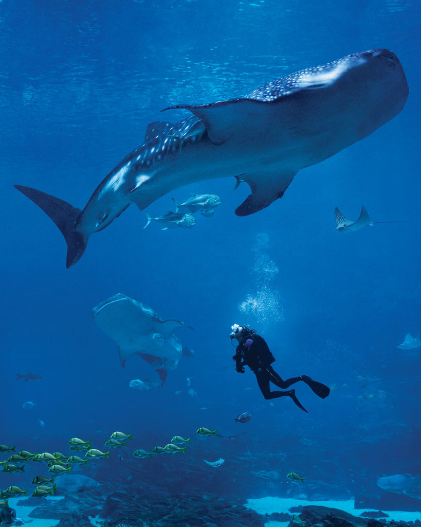 2022 Atlanta 500: Religion, Nonprofits, & Advocacy