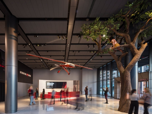 The Ultimate Guide to Indoor Fun in DC