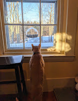 Elinor’s Nature Adventure and Hands-on Learning Activities