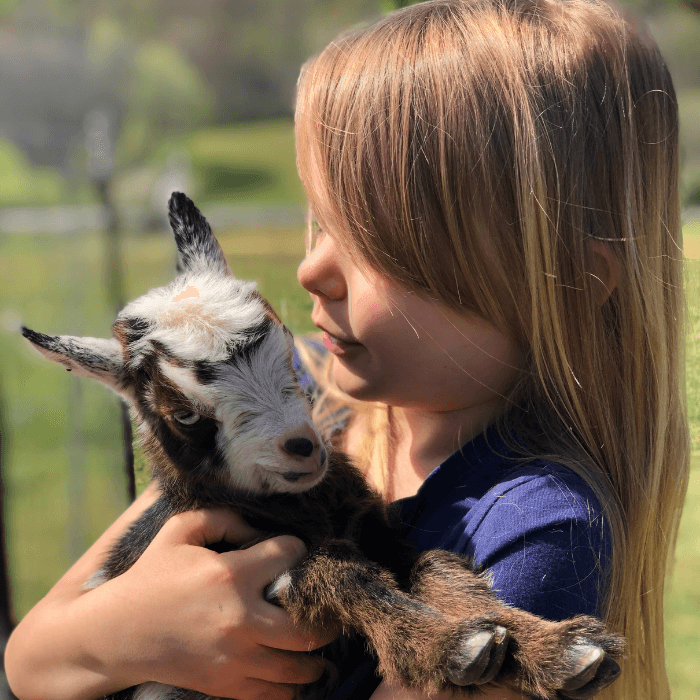 4 Reasons Why We Love Using Unit Studies In Our Homeschool