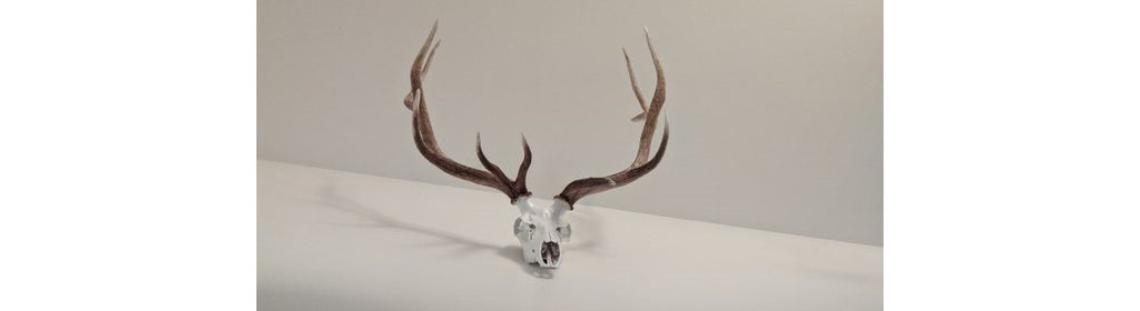 Cyber Monday Deals for Hunters, Shooters, and Outdoor Enthusiasts
