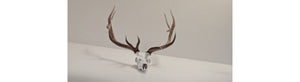 Cyber Monday Deals for Hunters, Shooters, and Outdoor Enthusiasts