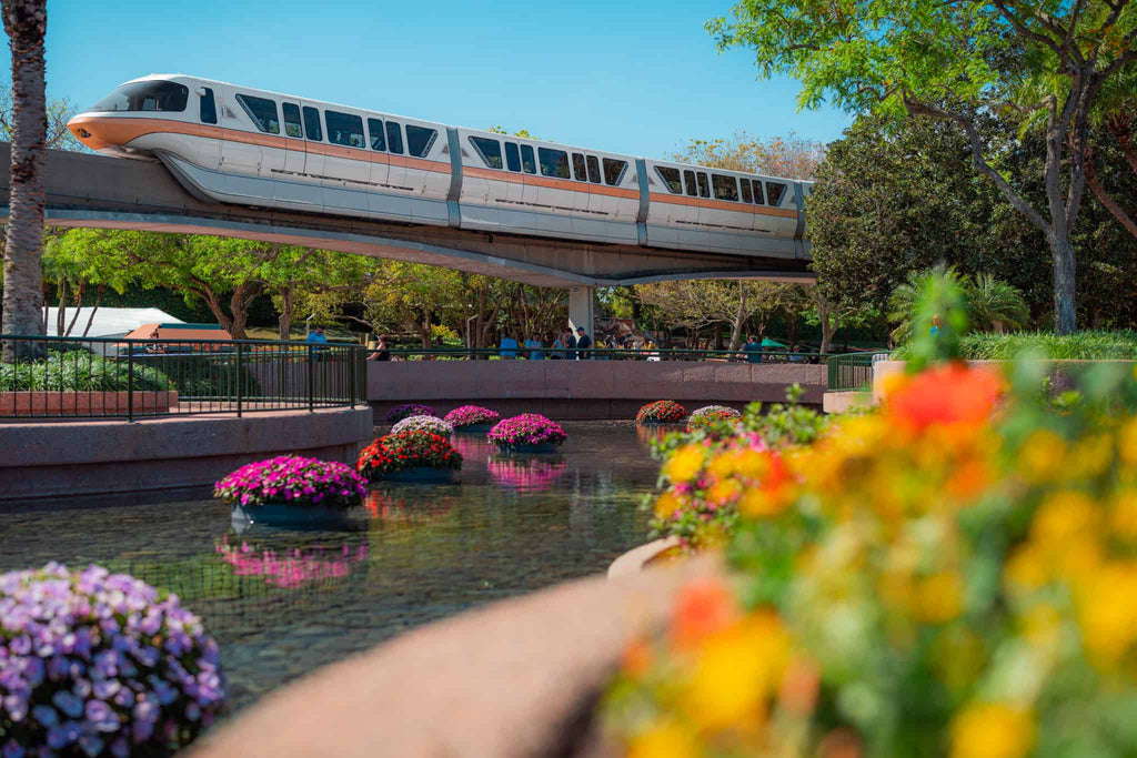 Spike’s Pollen-Nation Exploration 2022