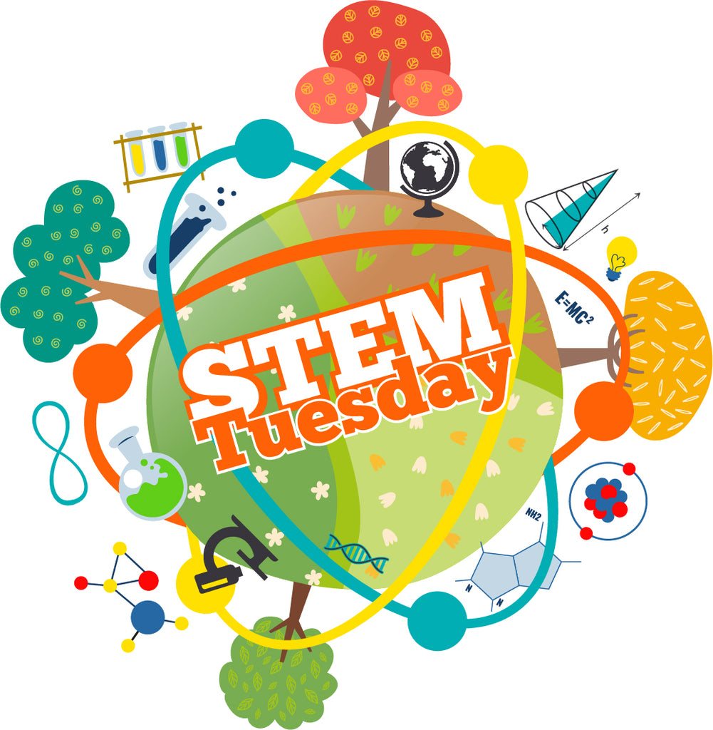 STEM Tuesday Team Shoutout!!