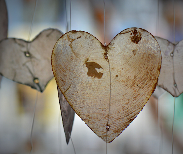 Fun Things To Do In Delaware County This Weekend For Families And Kids February 18th, 19th, & 20th