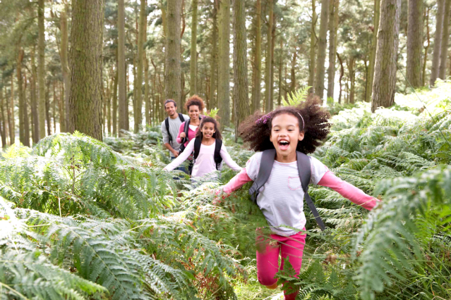 30+ of the Best Family Travel Blogs to Bookmark Now