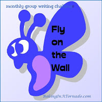The Sky’s Not Falling: Fly on the Wall