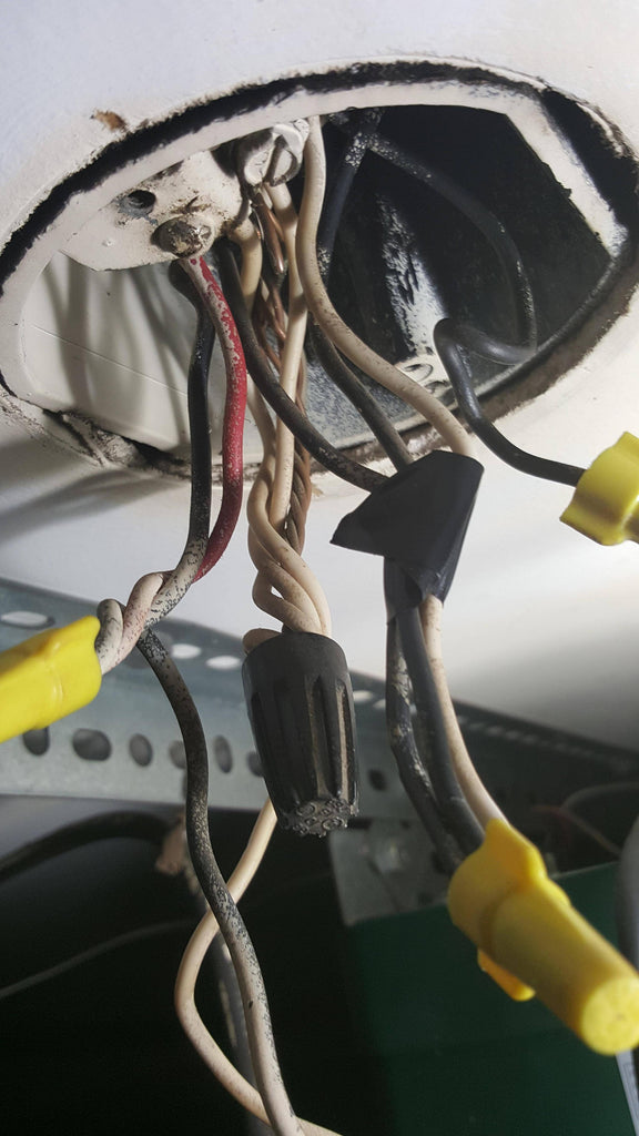 Should neutral and ground wires tied together in junction box?