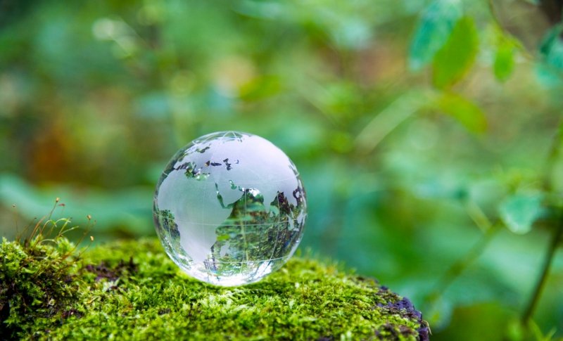 What Could Possibly Go Right?: [Podcast] Episode 68 Sherri Mitchell