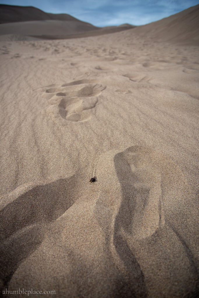 Mother Culturing: Fourth Quarter 2021