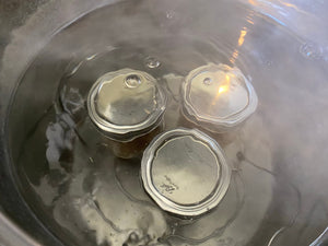 Canned Palisade Peach Salsa