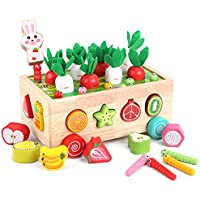 Toddlers Montessori Wooden Educational Toys only $18.11