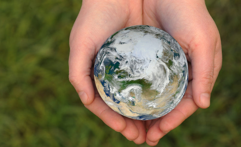 Answering the Question: “But, What Can We Do?” [Live Recording]