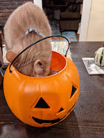 Engineering, Games, and Puns - The Week in Review