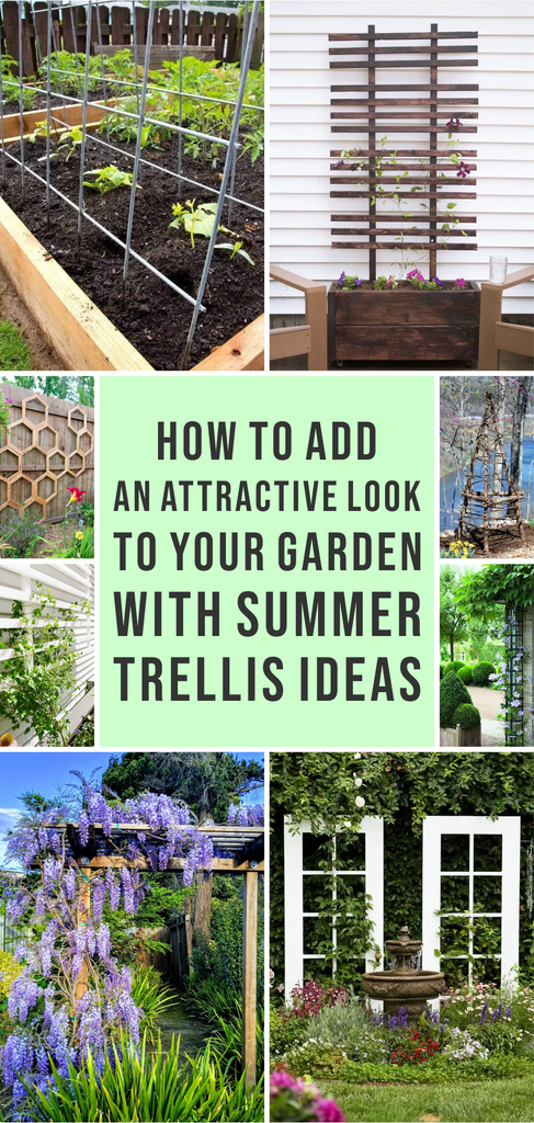 How to Add an Attractive Look to Your Garden with Summer Trellis Ideas