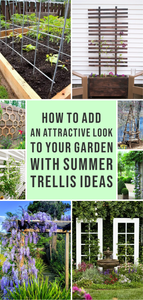 How to Add an Attractive Look to Your Garden with Summer Trellis Ideas
