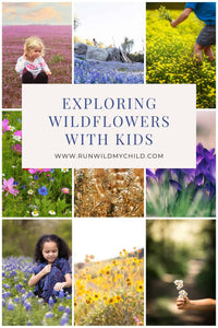 Exploring Wildflowers with Kids