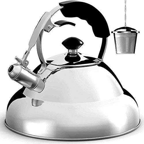 Best 21 Stainless Tea Kettle | Tea Kettles
