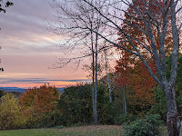 Forms, Earth, and STEM - The Week in Review