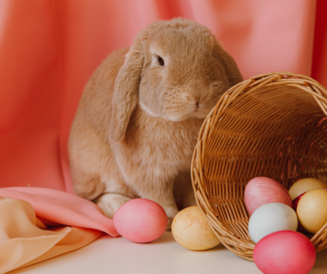 Fun Things To Do In Delaware County This Weekend For Families And Kids April 15th, 16th, and 17th