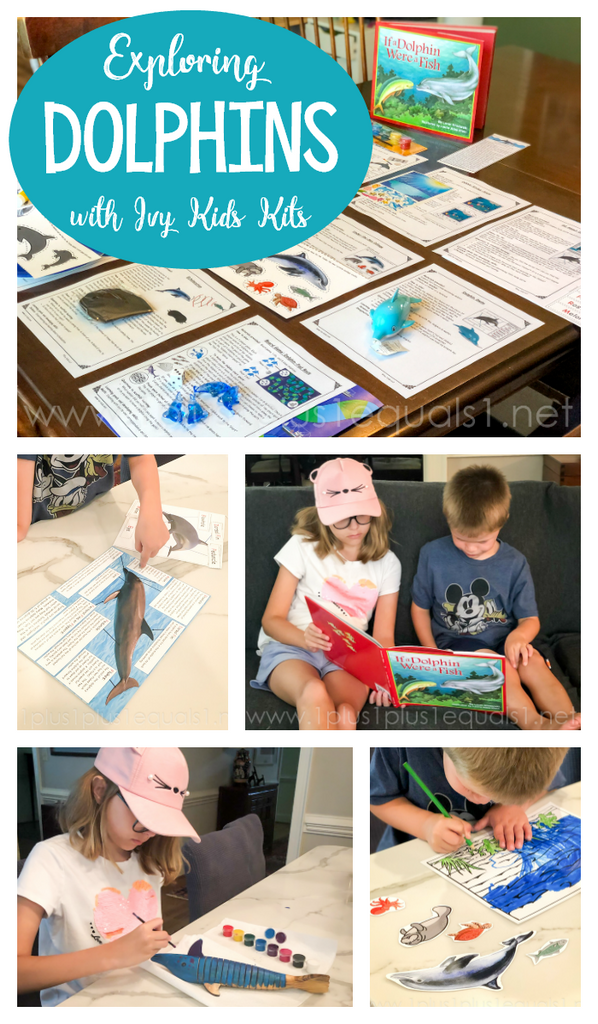 Exploring Dolphins with Ivy Kids Kits