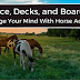 Dice, Decks, and Boards: Challenge Your Mind With Horse Academy