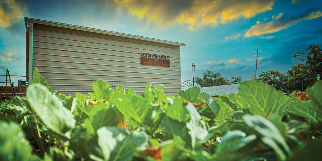 A Farm Grows in Tampa