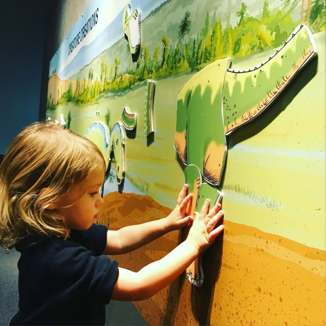 The Best Museums for Kids in DFW