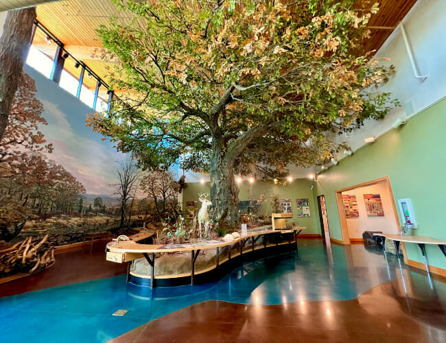 Nature Nurtures: Arkansas River Valley Nature Center