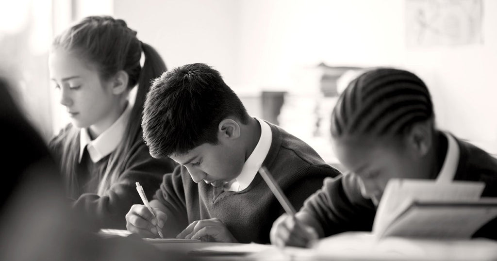 Private School vs. Public School: Facts, Benefits & Statistics