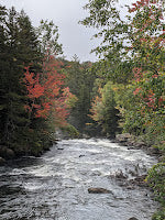 Fall, Forms, and Games - The Month in Review