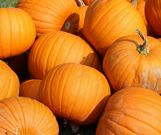 Fun Things To Do In Delaware County This Weekend For Families And Kids October 22nd, 23rd, and 24th